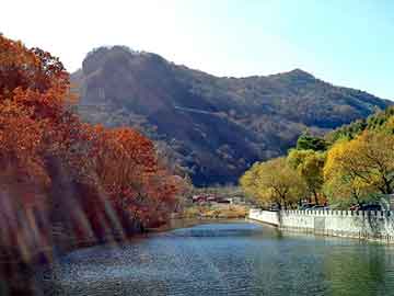 澳门天天彩期期精准平肖，水蛭养殖基地